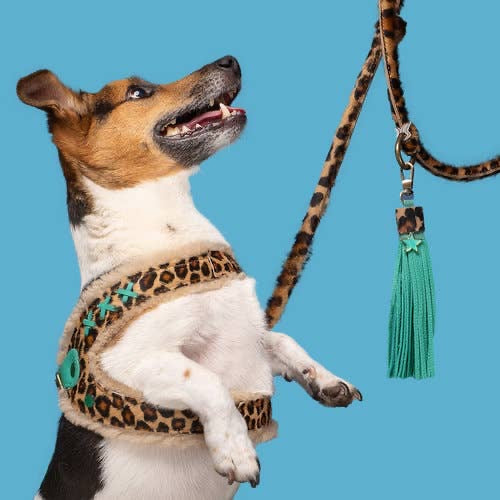 Dog With A Mission - Leopard Print Dog Harness with Fleece lining.  Easy step in design - Dog.Dog.Cat.