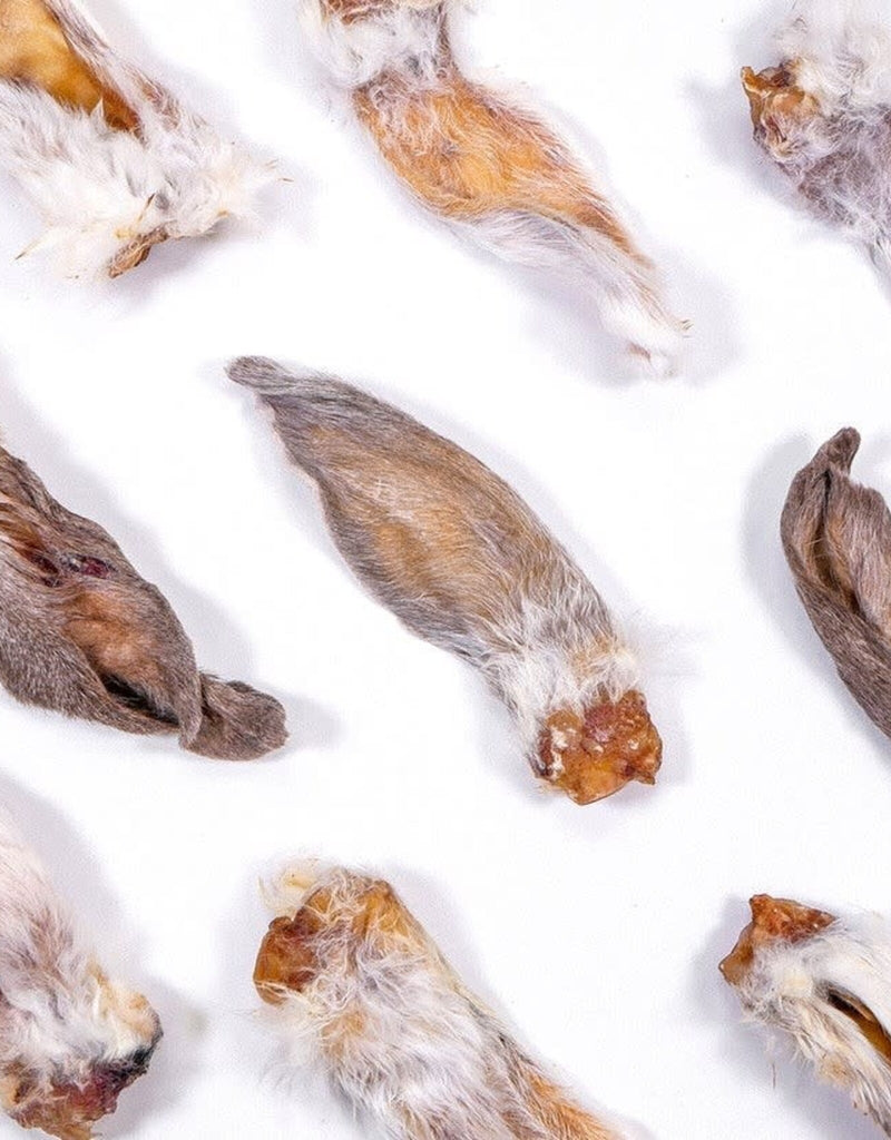 Rabbit Ear (Each) Bulk Dog Chew Natural Single Ingredient - Single Ear - Dog.Dog.Cat.