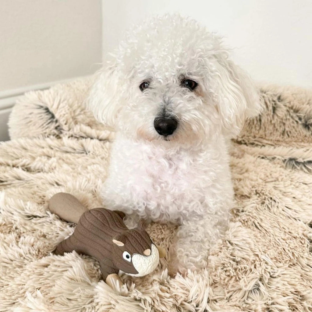 Tall Tails Dog Toy-Latex Squirrel : 8" - Dog.Dog.Cat.