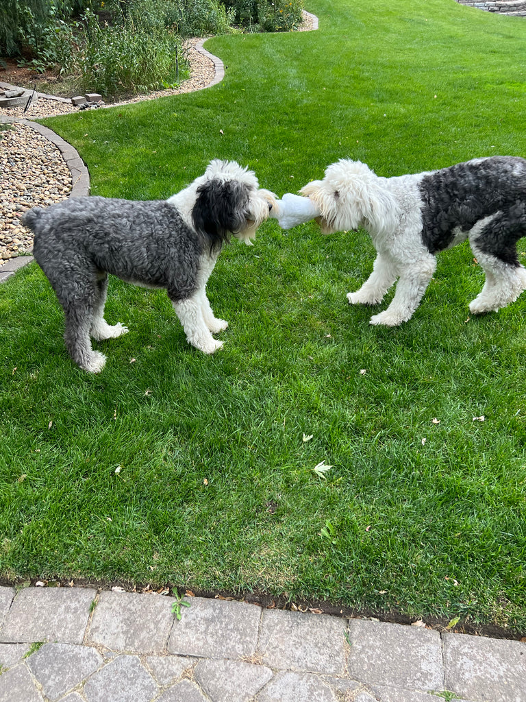 Sheep Fur Plush Dog Toy NO Squeaker - Lamb Wool - Dog.Dog.Cat.