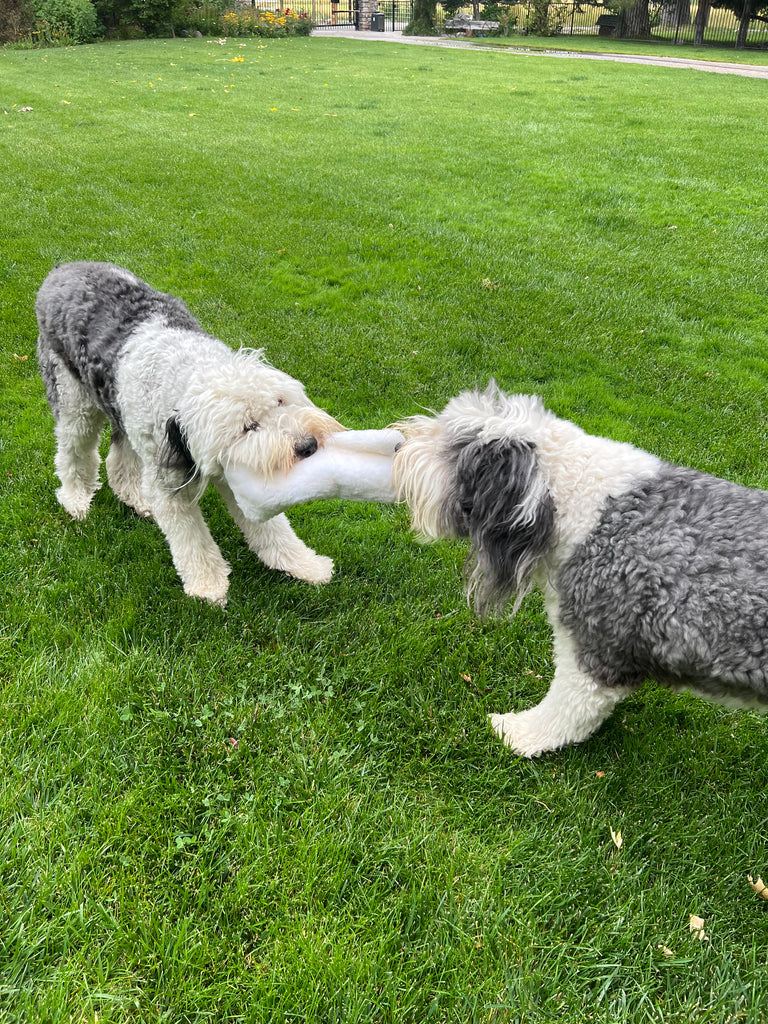 Sheep Fur Plush Dog Toy NO Squeaker - Lamb Wool - Dog.Dog.Cat.