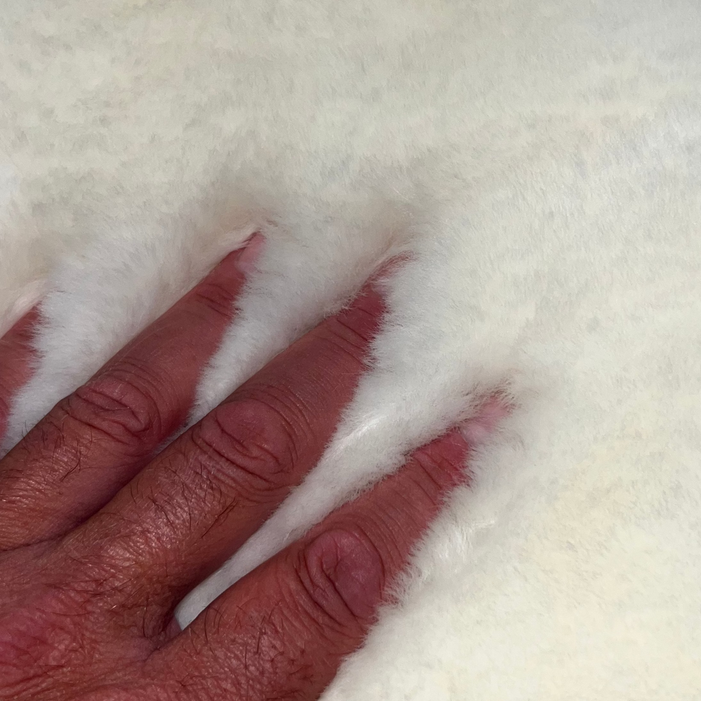 Sheep Fur Plush Dog Bed - Dog.Dog.Cat.