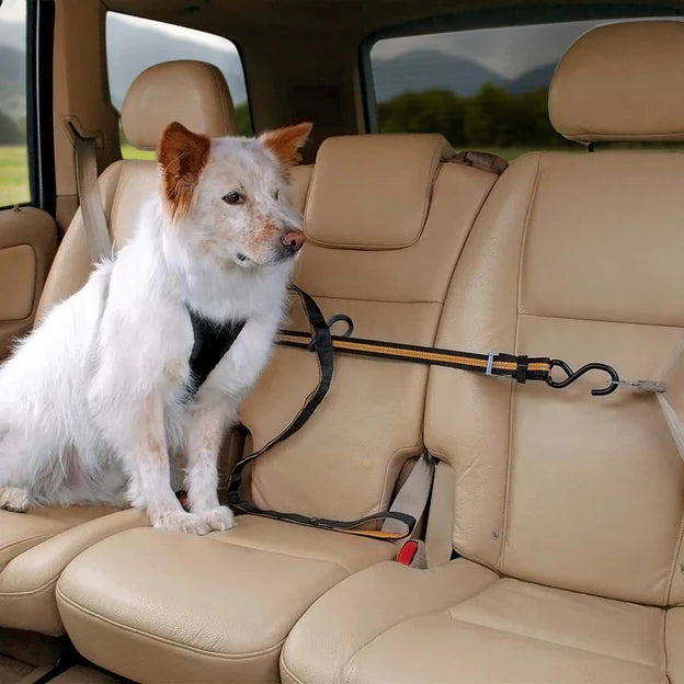 Auto Zip Line with Leash/Tether-Black/Orange - Dog.Dog.Cat.