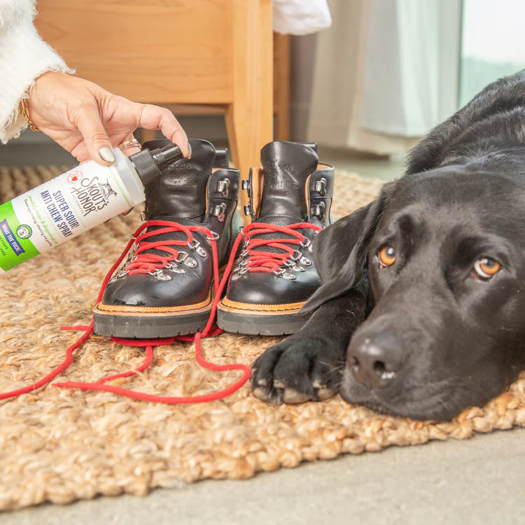 Skout's Honor Anti Chew Sour Apple Supplement 8 oz - Dog.Dog.Cat.