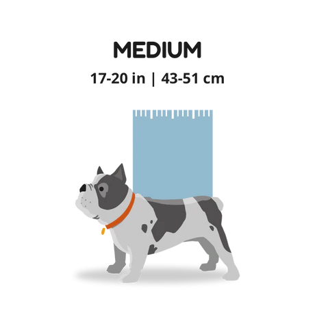 K9 Sport Sack Knavigate-Grey : Med - Dog.Dog.Cat.