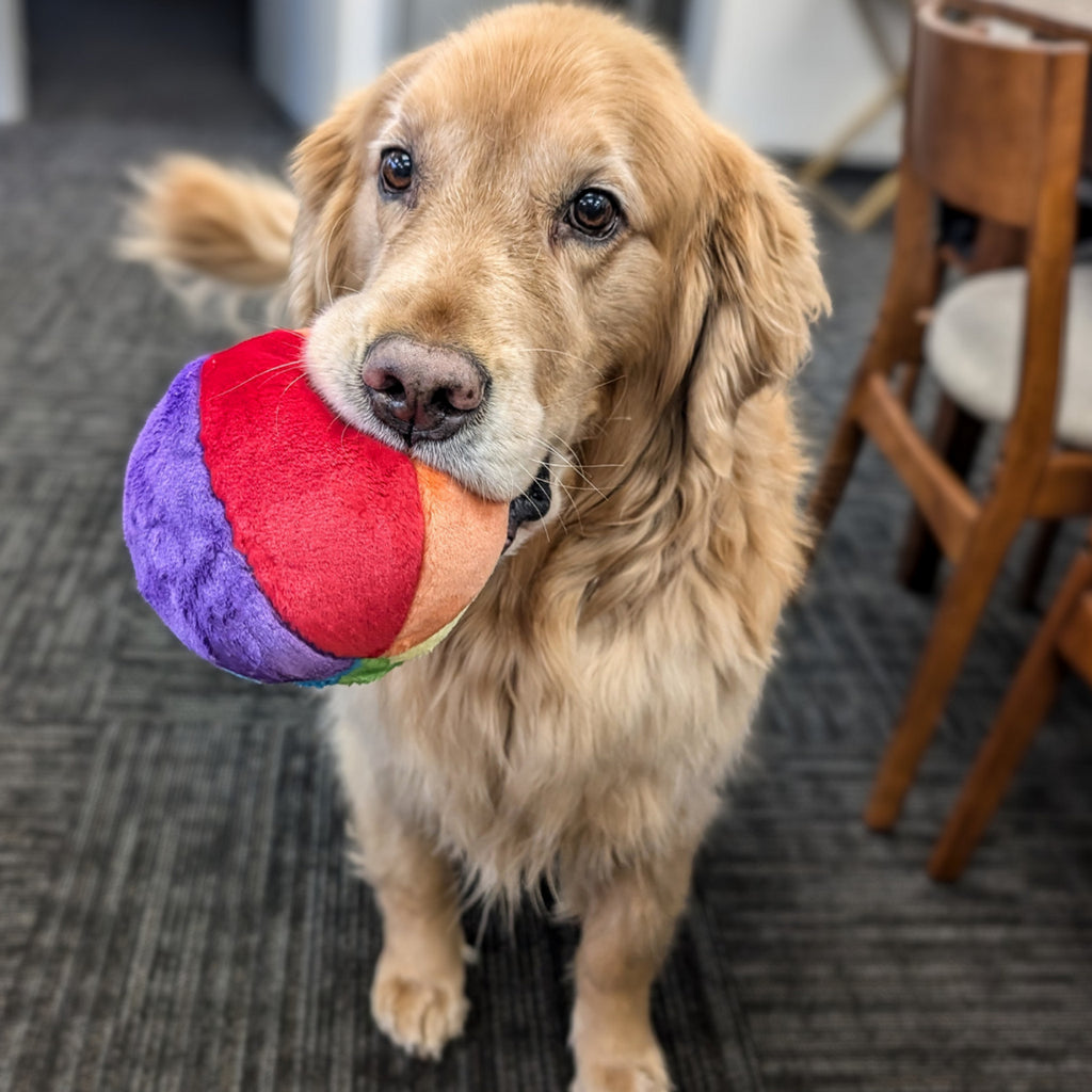 Fluff and Tuff Dog Toy-Beach Ball - Dog.Dog.Cat.