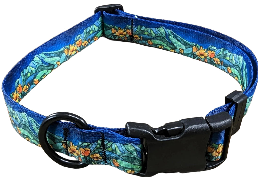 Mount Tam Collar for Dogs – Durable and Comfortable Pet Collar in Multiple Sizes and Matching Leash - Dog.Dog.Cat.
