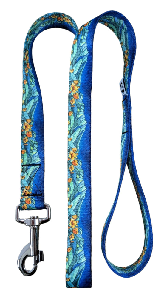 Mount Tam Collar for Dogs – Durable and Comfortable Pet Collar in Multiple Sizes and Matching Leash - Dog.Dog.Cat.