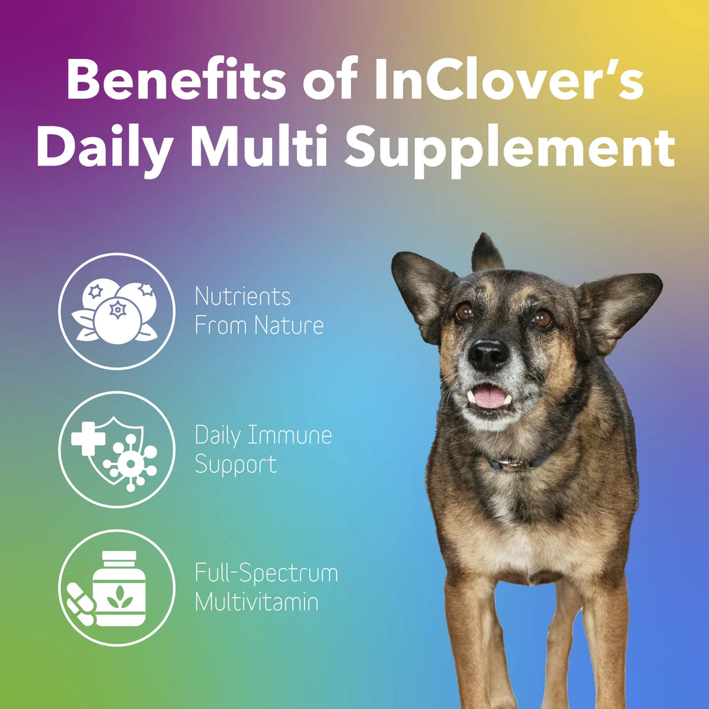 InClover Daily Multi – Multivitamin Supplement for Dogs + Cats - Dog.Dog.Cat.