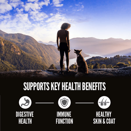 Orijen Amazing Grains Dog Food - Original - Dog.Dog.Cat.