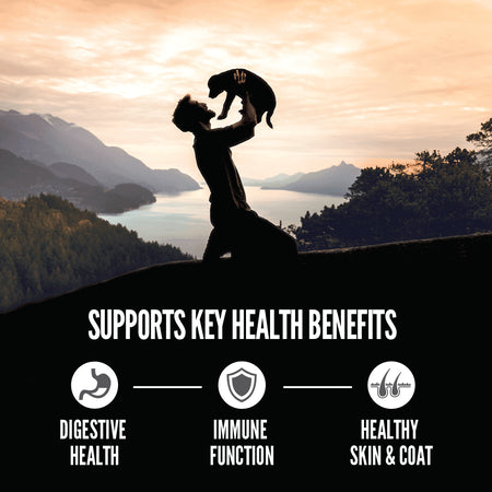 Orijen Amazing Grains Dog Food-Large Breed Puppy : 22.5 LB - Dog.Dog.Cat.