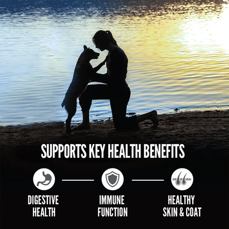 Orijen Amazing Grains Dog Food - 6 Fish - Dog.Dog.Cat.