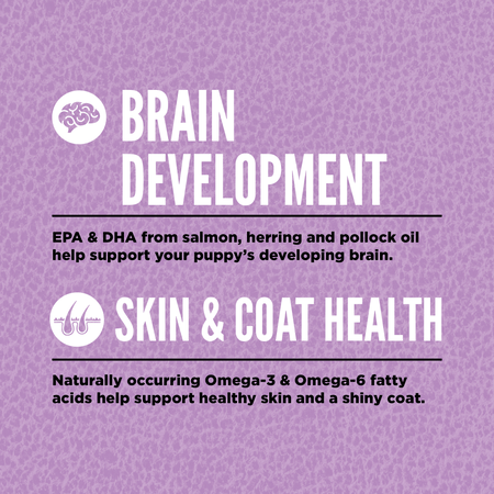 Orijen Dry Dog Food Large Breed Grain Free Puppy USA - Dog.Dog.Cat.