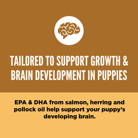 Orijen Dry Dog Food-Puppy USA - Dog.Dog.Cat.