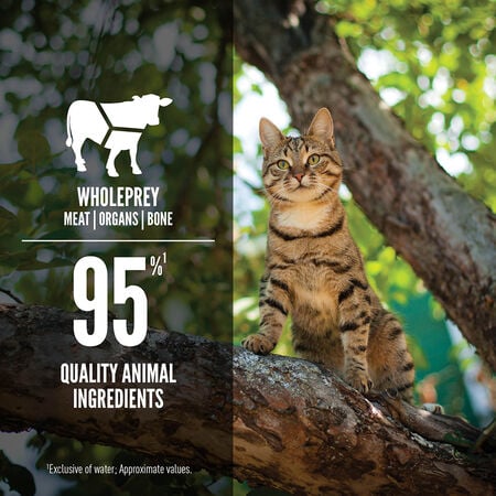 Orijen Cat Canned Food-Red : 3 oz. - Dog.Dog.Cat.