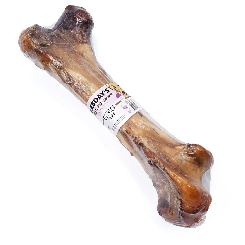 Ostrich Femur Bone - Dog.Dog.Cat.