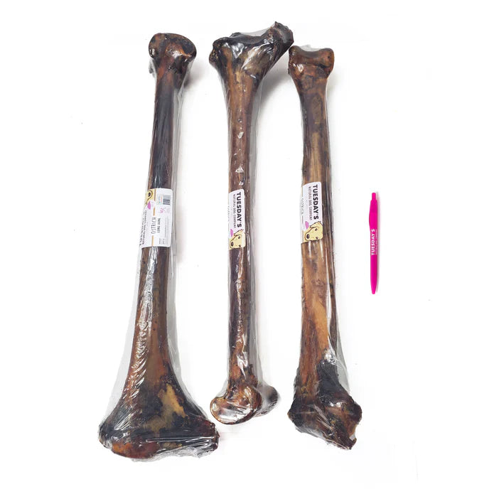 Ostrich Long Bone - Dog.Dog.Cat.