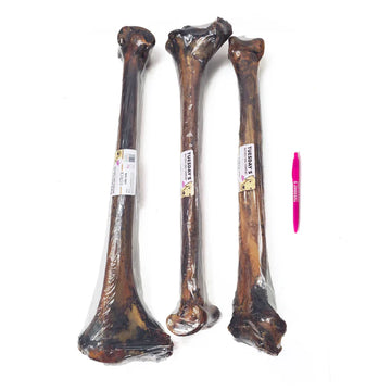 Ostrich Long Bone - Dog.Dog.Cat.