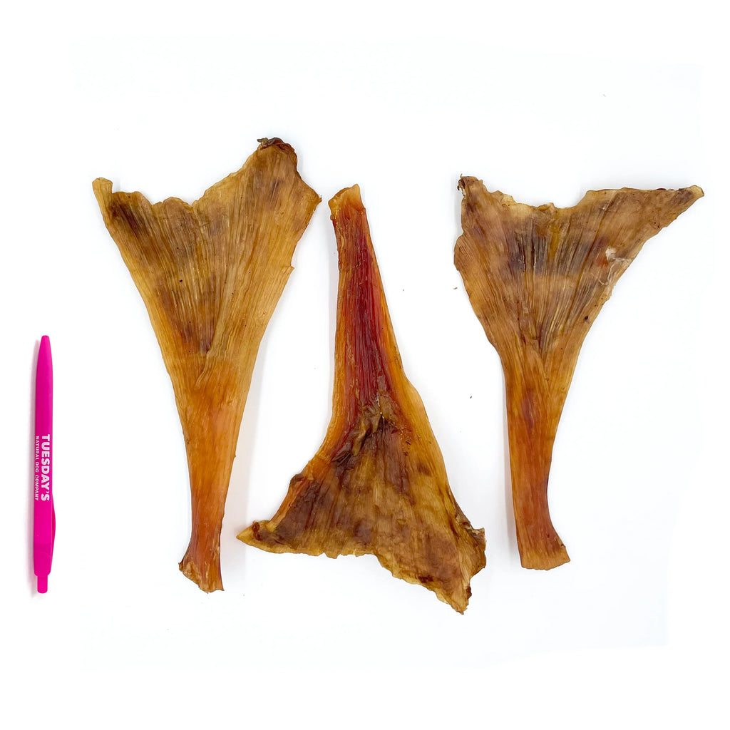 Ostrich Long Tendons  Durable Dog Chew (Bulk) - Dog.Dog.Cat.
