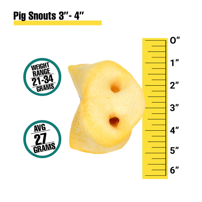 Pig Snouts NOSE Not Freeze Dried - Dog.Dog.Cat.