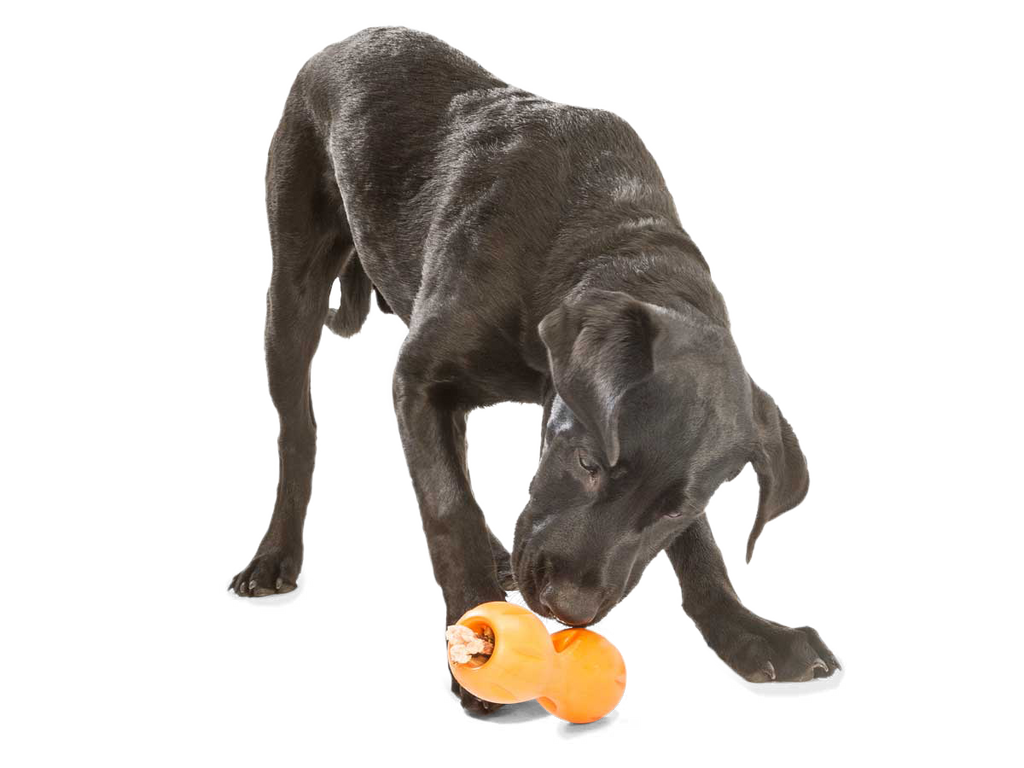 West Paw - Qwizl® Dog Puzzle Treat-Dispensing Enrichment Toy - Dog.Dog.Cat.