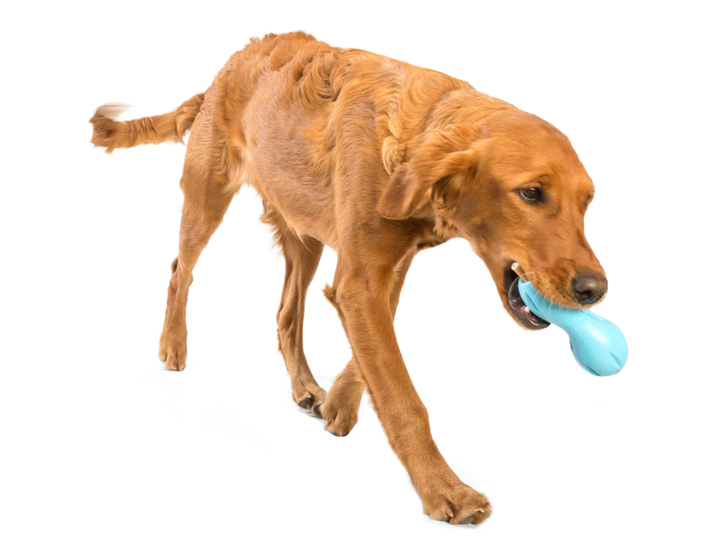 West Paw - Qwizl® Dog Puzzle Treat-Dispensing Enrichment Toy - Dog.Dog.Cat.
