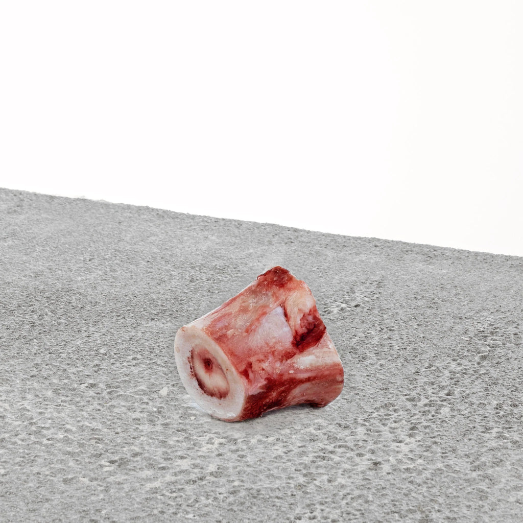 Primal Raw Beef Marrow Bone  : 4" Large - Dog.Dog.Cat.