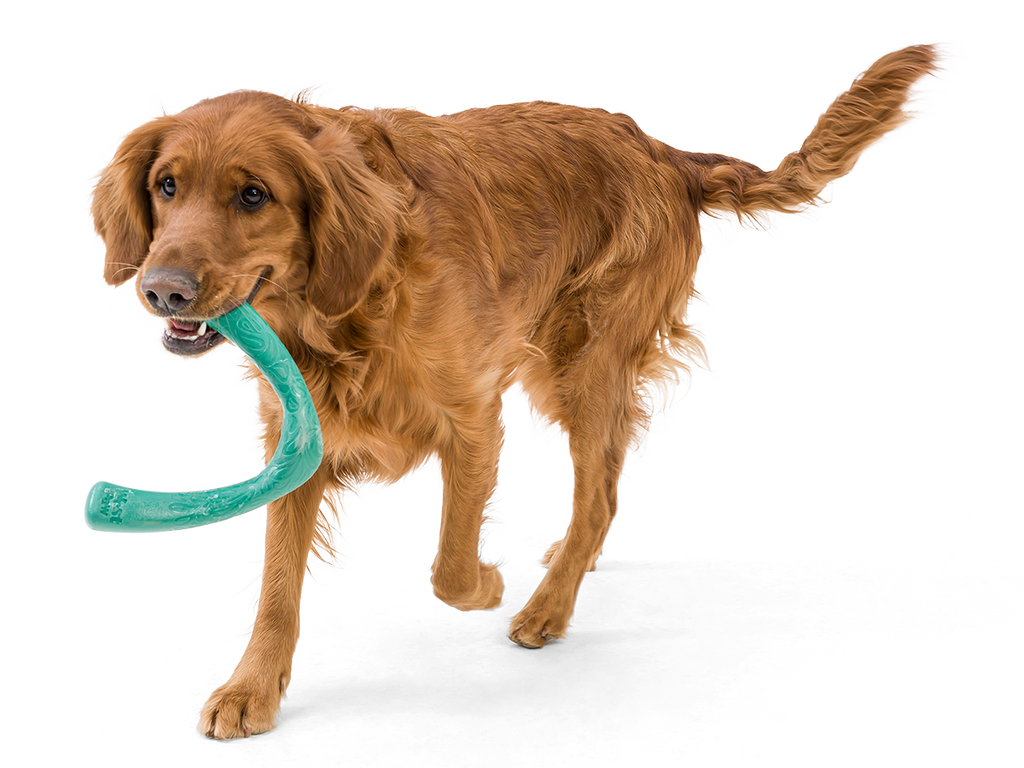 West Paw - Snorkl® Dog Toy for Play, Tug, and Fetch - Dog.Dog.Cat.