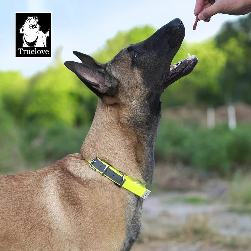 Truelove Reflective Waterproof Dog Collar: Safety and Comfort Item Number：TLC5521 - Dog.Dog.Cat.