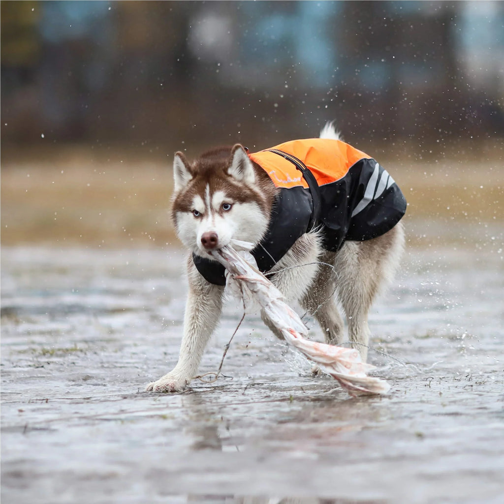 Truelove Winter Dog Coat TLG2471 Insulated Waterproof Winter Coat for Dogs with Reflective Trim - Dog.Dog.Cat.