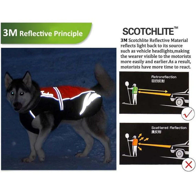 Truelove Winter Dog Coat TLG2471 Insulated Waterproof Winter Coat for Dogs with Reflective Trim - Dog.Dog.Cat.