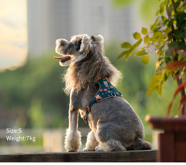 TrueLove Dog Harness and Leash Combination TLH2918 - Dog.Dog.Cat.