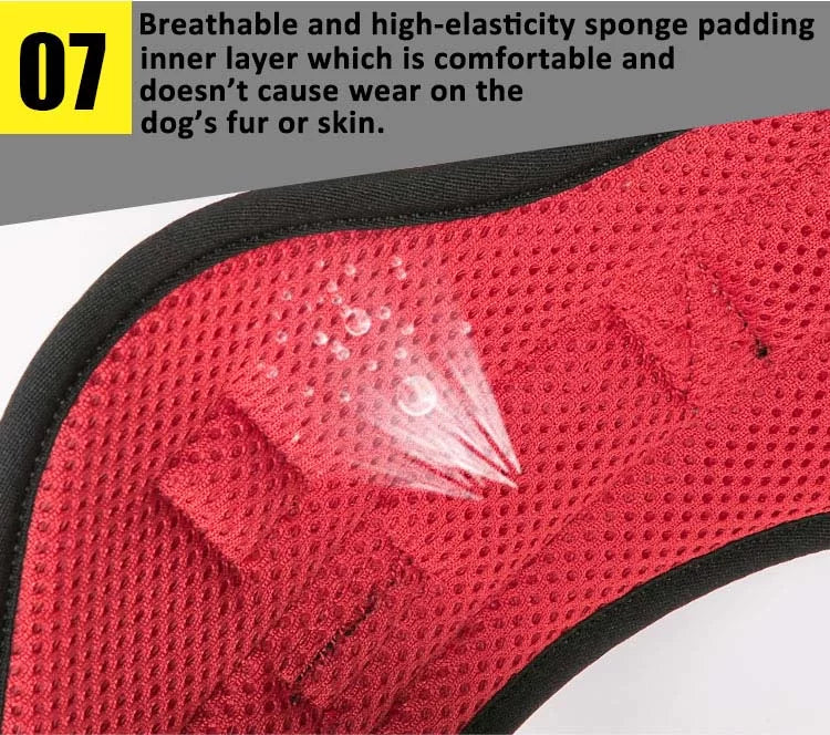 Truelove Outdoor Adventure Big Dog Harness  Model Number: TLH5753 - Dog.Dog.Cat.