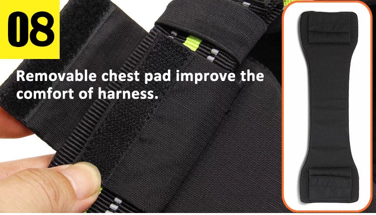 Truelove Outdoor Adventure Big Dog Harness  Model Number: TLH5753 - Dog.Dog.Cat.