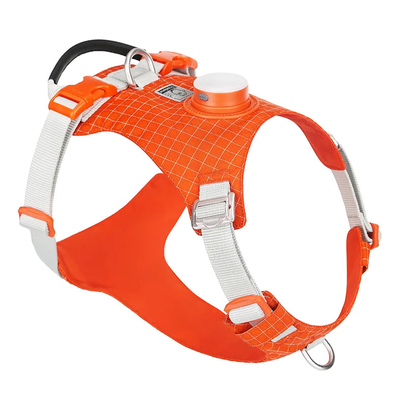 Truelove Dog Harness with Light TLH6771 - Dog.Dog.Cat.