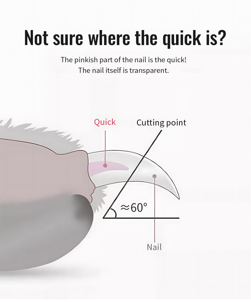 TrueLove Nail Clippers TLK-26131 - Dog.Dog.Cat.