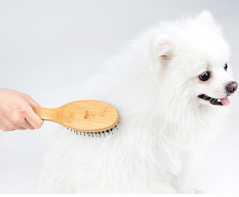 TrueLove Dog Hair Brush TLK-28131 - Dog.Dog.Cat.