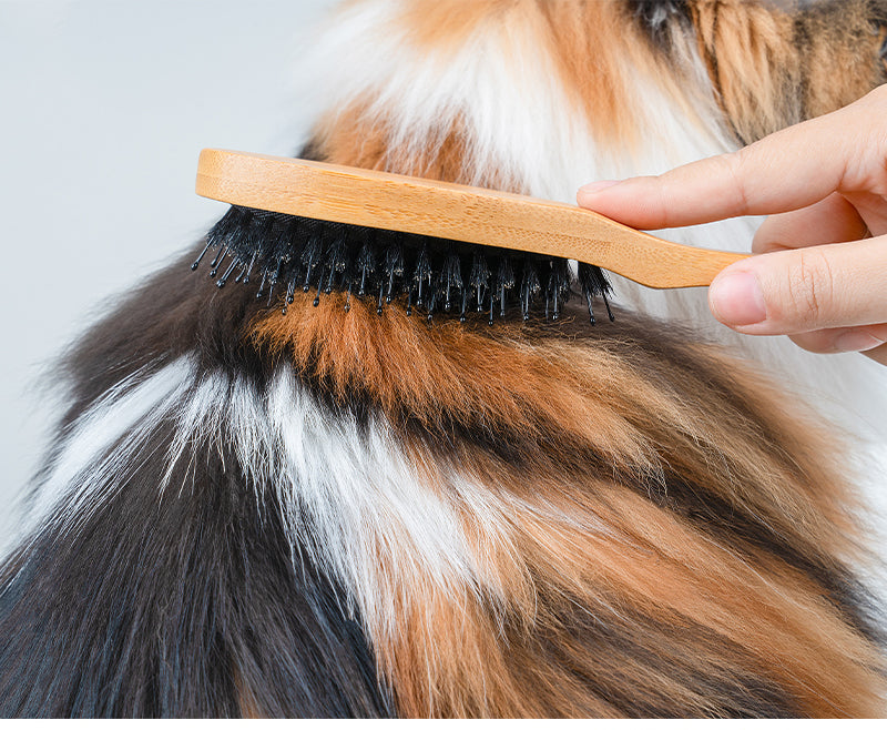 TrueLove Dog Hair Brush TLK-28131 - Dog.Dog.Cat.