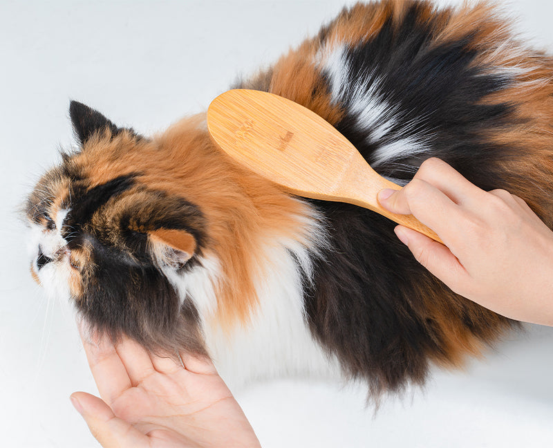 TrueLove Dog Hair Brush TLK-28131 - Dog.Dog.Cat.