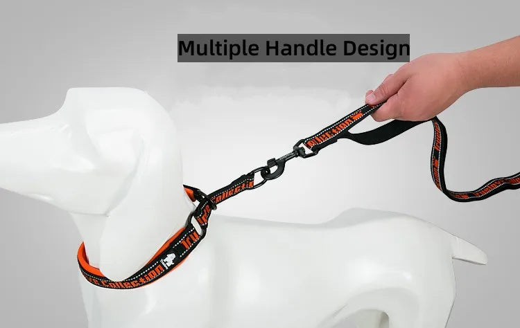 Truelove Multi Handle TLL3071 Medium Size Dog Leash - Dog.Dog.Cat.