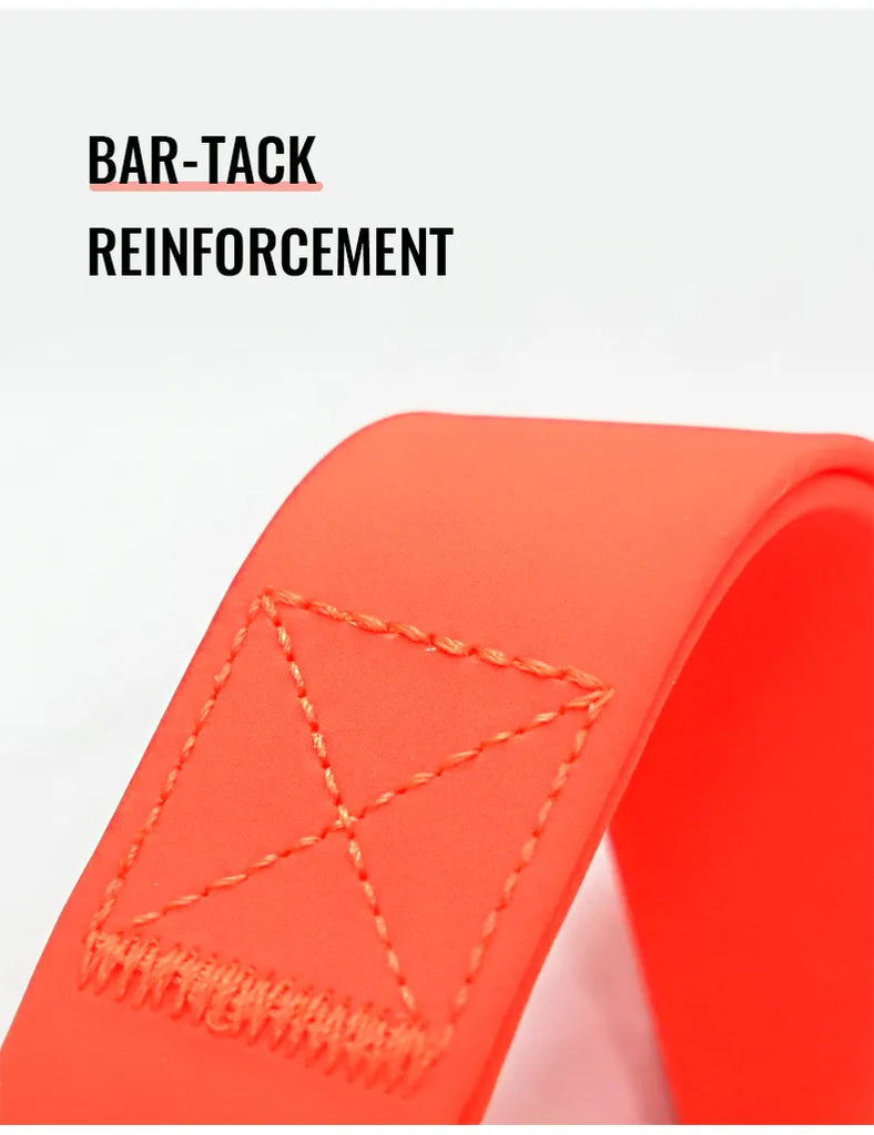 Truelove Dog Leash TLL3211 - Dog.Dog.Cat.