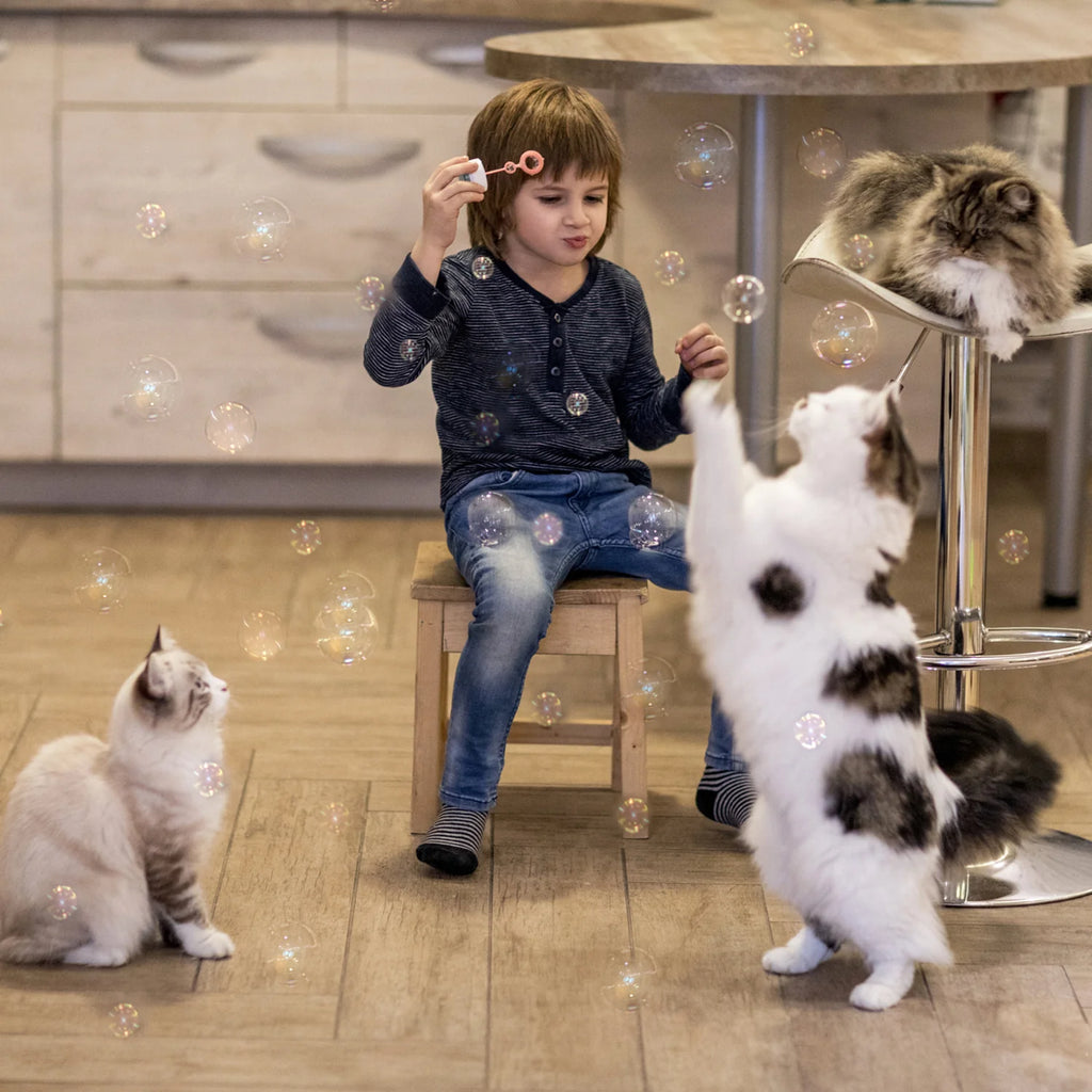 Kitty Love Bubbles - Dog.Dog.Cat.