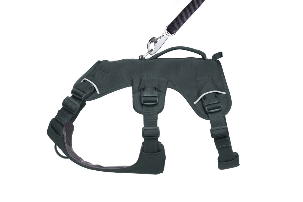 Web Master™ Dog Harness with Handle harness with neck buckle and handle - Dog.Dog.Cat.