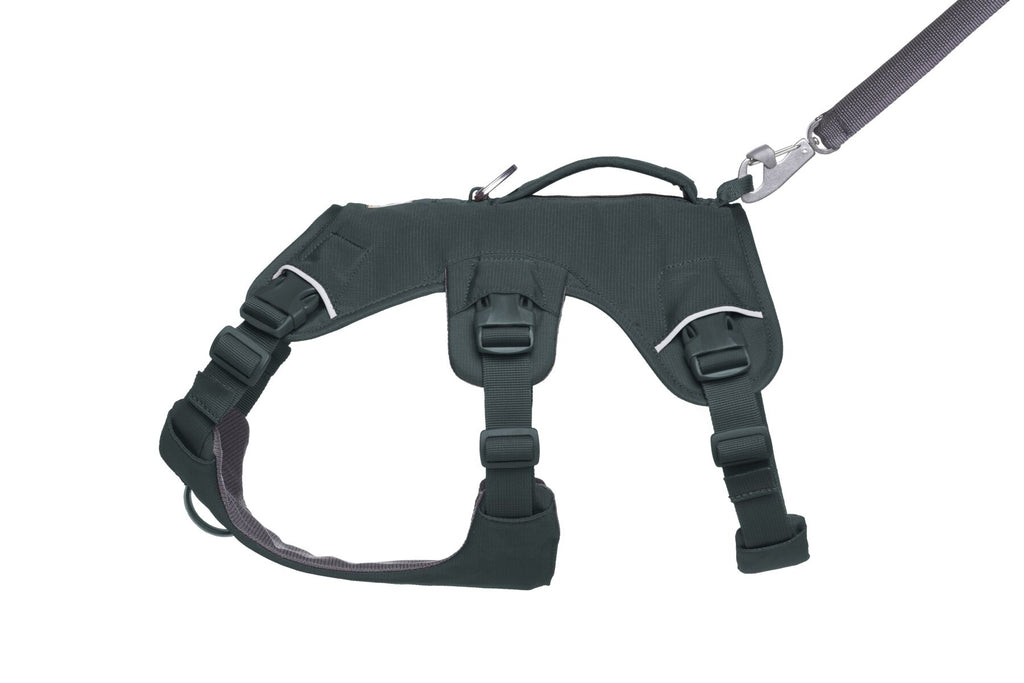 Web Master™ Dog Harness with Handle harness with neck buckle and handle - Dog.Dog.Cat.