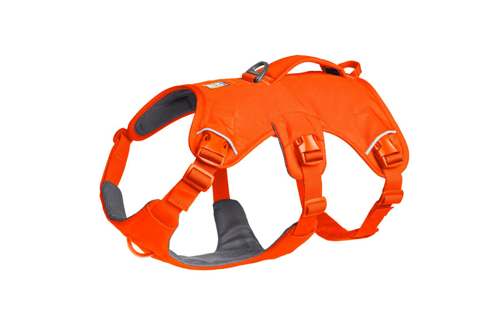 Web Master™ Dog Harness with Handle harness with neck buckle and handle - Dog.Dog.Cat.