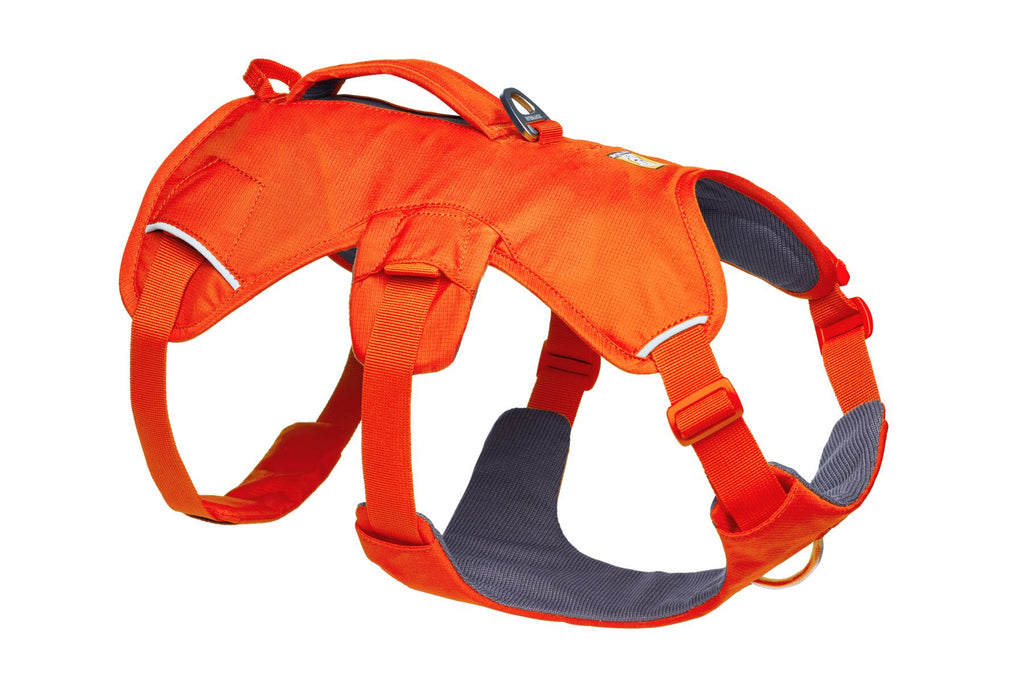 Web Master™ Dog Harness with Handle harness with neck buckle and handle - Dog.Dog.Cat.