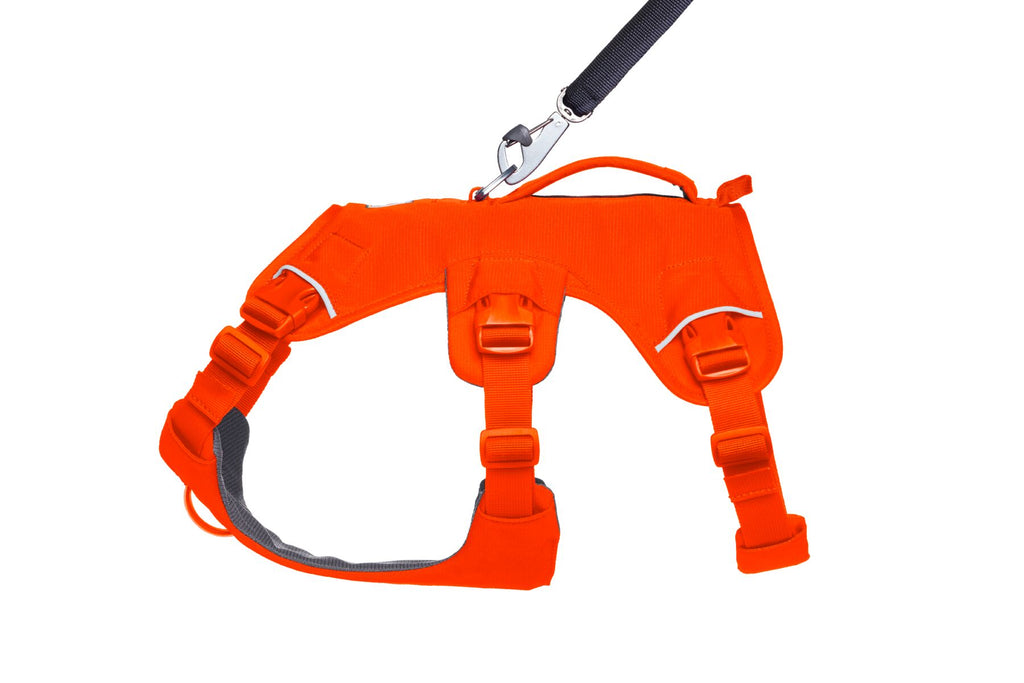 Web Master™ Dog Harness with Handle harness with neck buckle and handle - Dog.Dog.Cat.