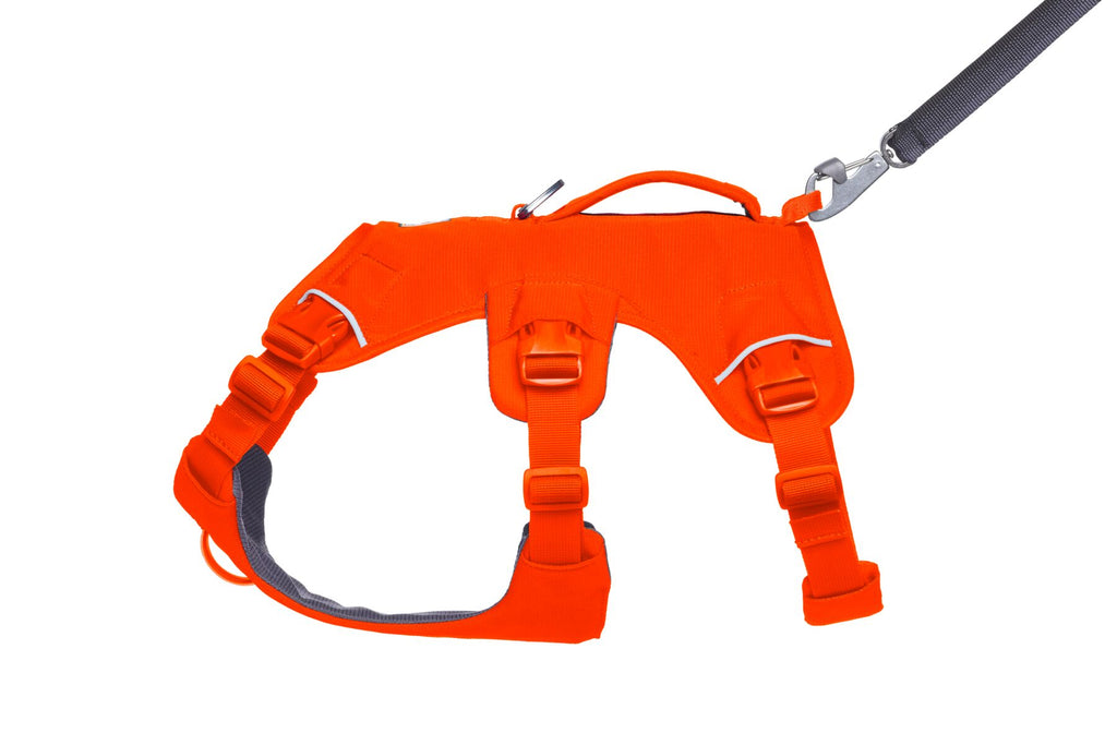 Web Master™ Dog Harness with Handle harness with neck buckle and handle - Dog.Dog.Cat.