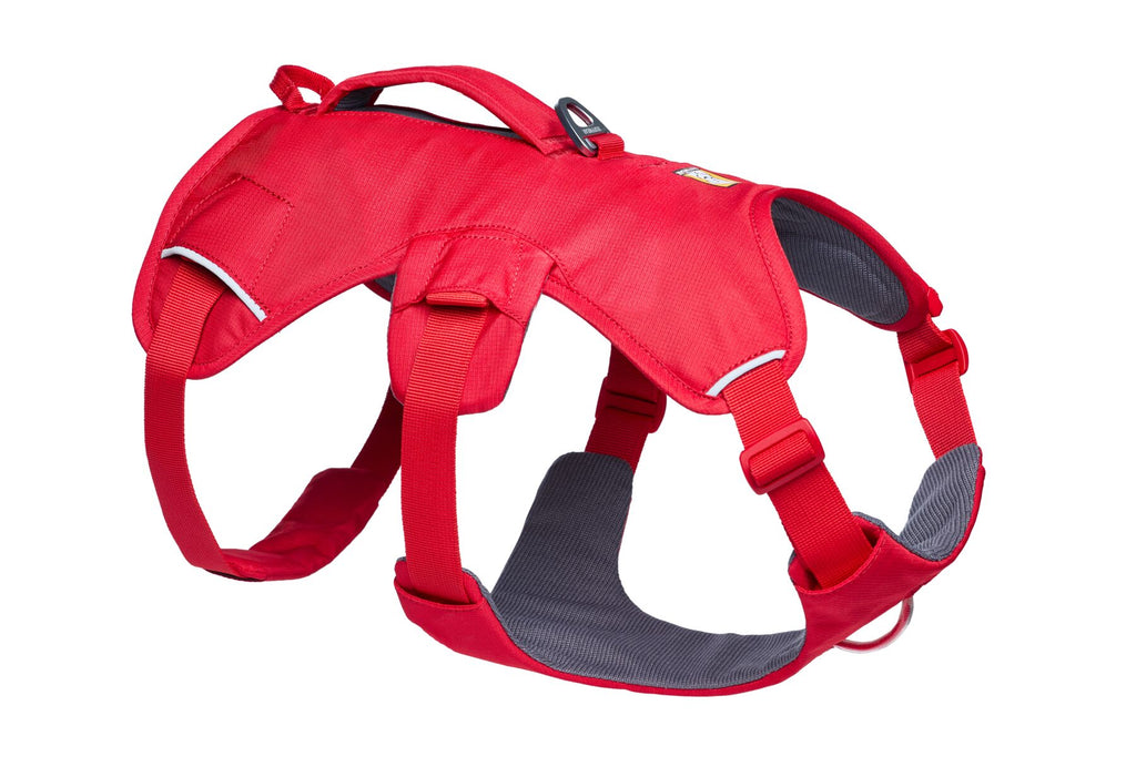 Web Master™ Dog Harness with Handle harness with neck buckle and handle - Dog.Dog.Cat.
