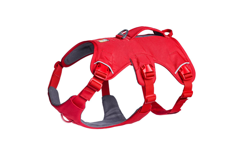 Web Master™ Dog Harness with Handle harness with neck buckle and handle - Dog.Dog.Cat.